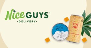 Nice Guys logo OG image