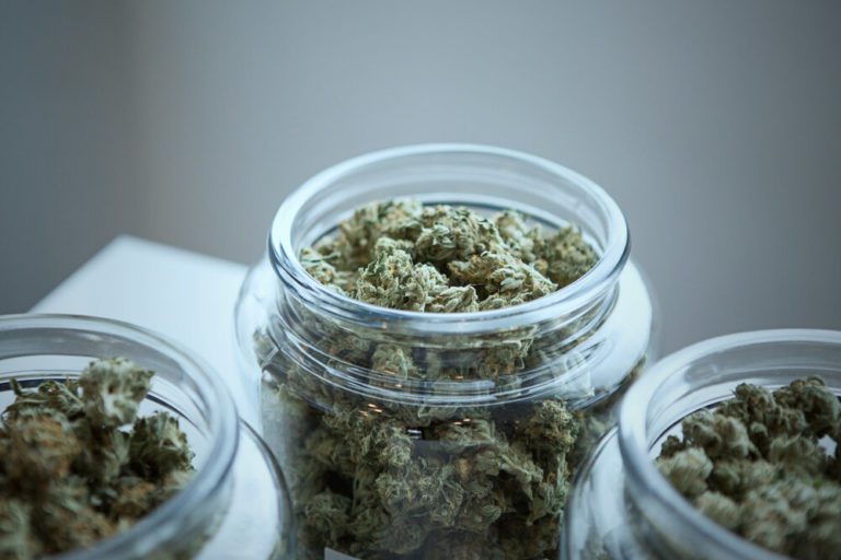 Chronic Pain: The Top Reason for Medical Marijuana Use