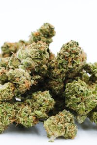 buds