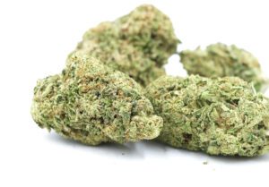 buds