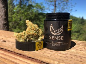 Sense