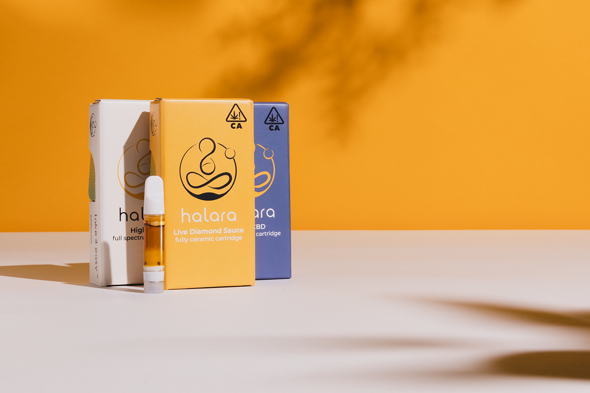 Cannabis and Yoga: The Mind-Body Connection Explained
