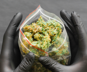 Cannabis 101: A Beginner’s Guide