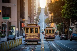 Cannabis Events and Pop-Ups in San Francisco and Marin County This Month