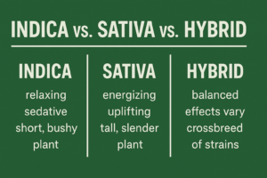 sativa vs indica vs hybrid nice guys delivery